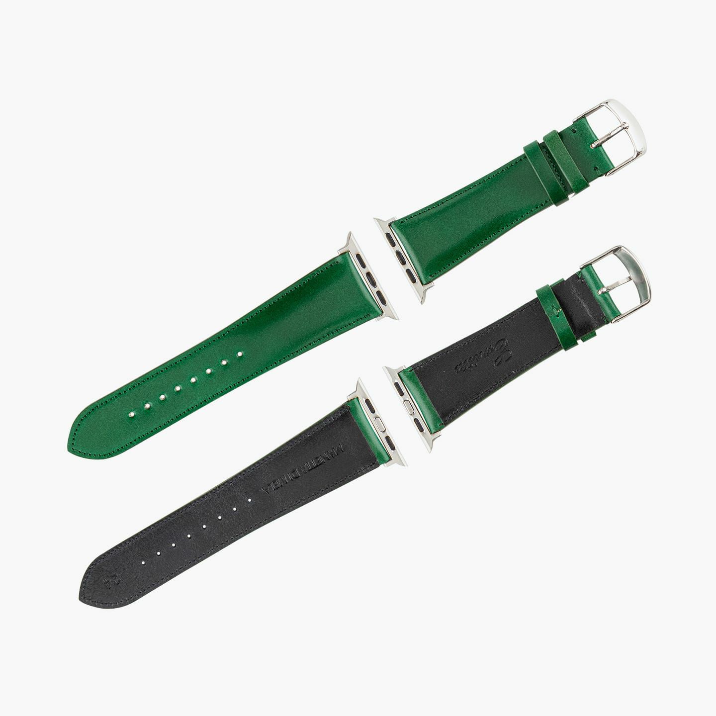 Apple Watch ケースサイズ：42 - 45 mm、表面：Green、アダプター ＆ 尾錠：Silver