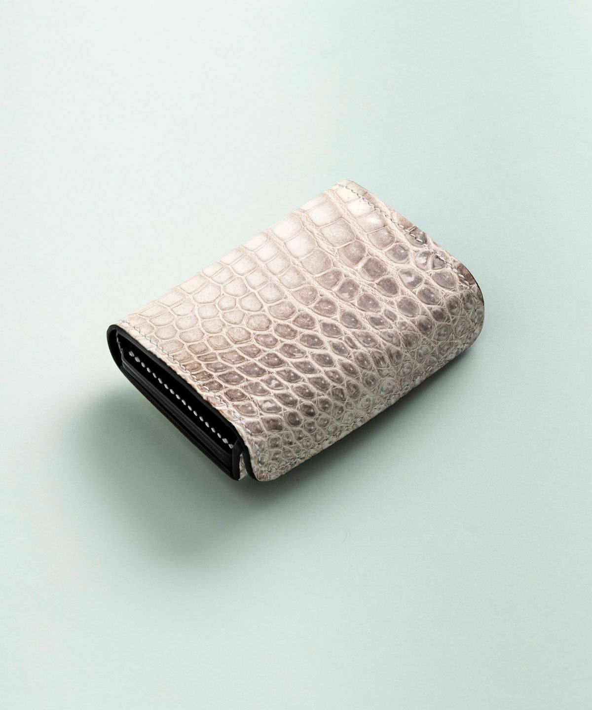 ポロサス “Soltina”